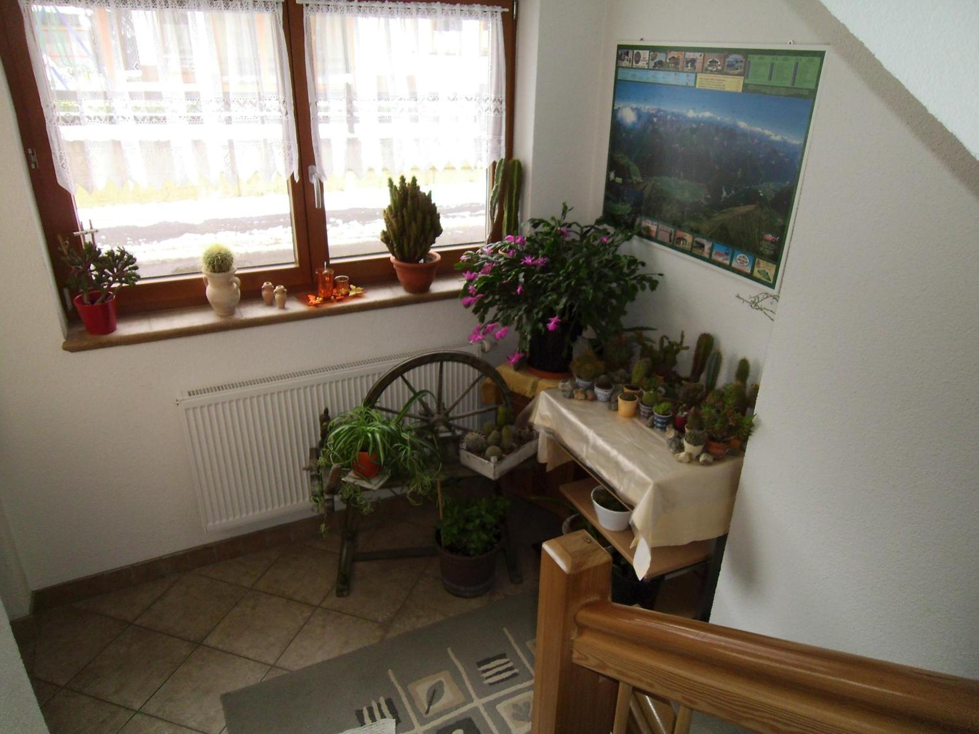Haus Weidmannsheil Apartment แลงเงนเฟลด์ ภายนอก รูปภาพ
